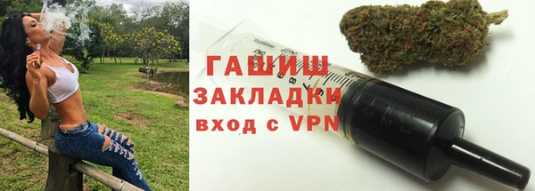 хмурый Белокуриха