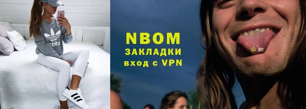 хмурый Белокуриха