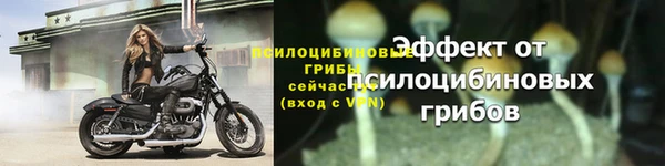 спиды Беломорск