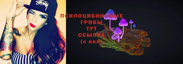 сатива Богородицк