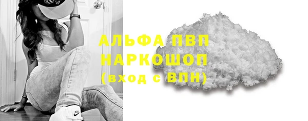 хмурый Белокуриха