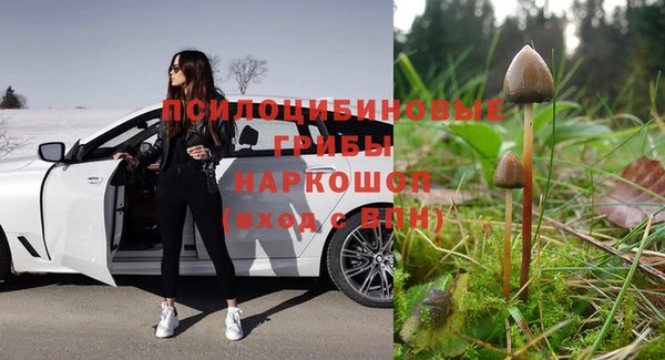 сатива Богородицк