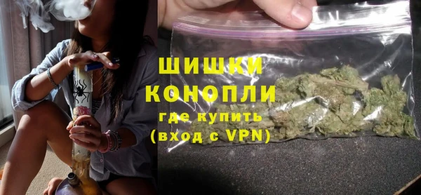сатива Богородицк